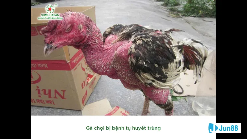 Tư thế đứng khác thường Tư thế đứng khác thường