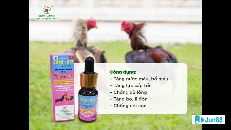 Thuốc cơ bản dành cho gà đá